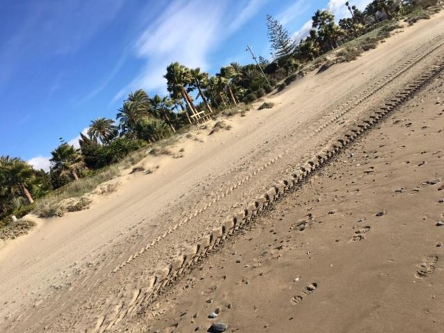 Apartamento Beachfront La Jacaranda Μαρμπέλλα Εξωτερικό φωτογραφία
